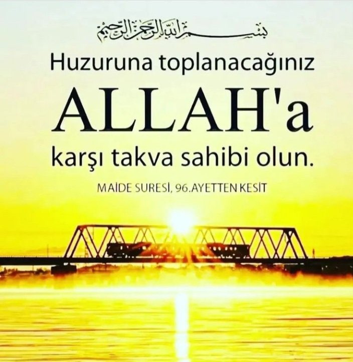 @yeesim32 @zafersahin571 @mizci65 @sahinhubeyb @AyselKocak36 @Akgul616161 @RtGulcan @gldalbalc4 @Mride571 @maden_zeycan67 @DilekS571 @yigenli_ozer @hanifesen81 @HaTiCeSulTaN79 @Sibelben9 @siyah_nur25 @ARZURT77 @gonenezahat @muratbalac Huzuruna toplanacağınız ALLAH’A  karşı takva sahibi lun.
(Maide Suresi Ayet 96)

#BiziAYETLERKurtarır