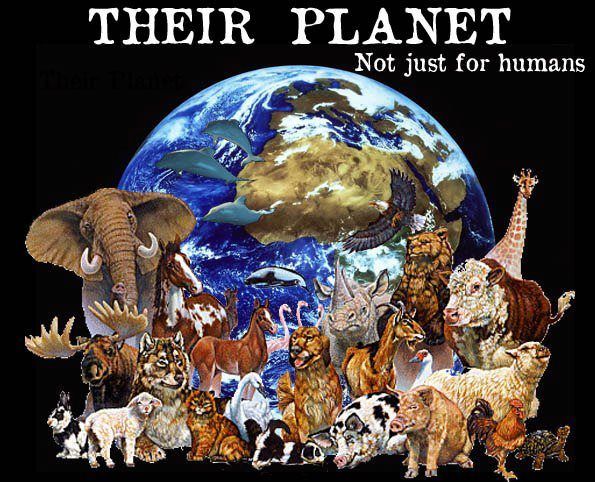 The Planet is about 4.54 billion years old. Humans arrived around two million years ago. Earth Day began much later in 1970. Humanity alongside all animals, insects and plants we share our home with are unique and precious. The Planet can exist without us. We must #ActOnClimate