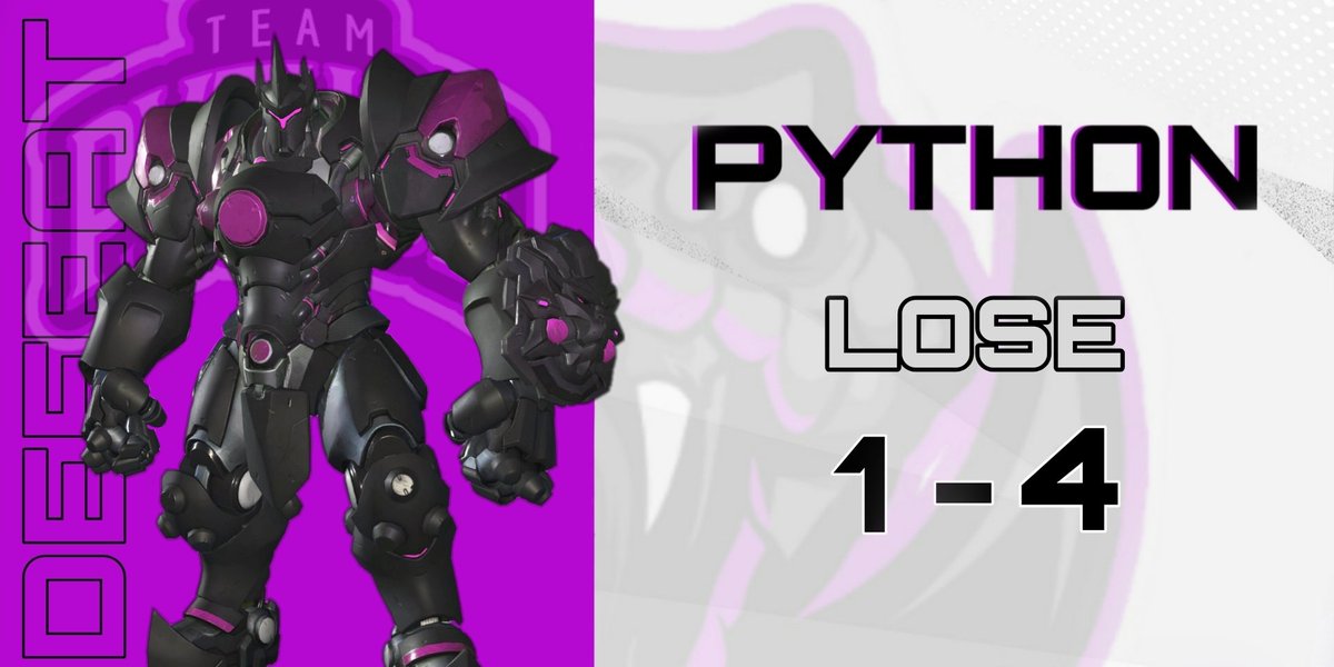 TEAM PYTHON tweet media