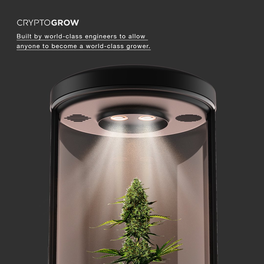 CryptoGrow NFT tweet media