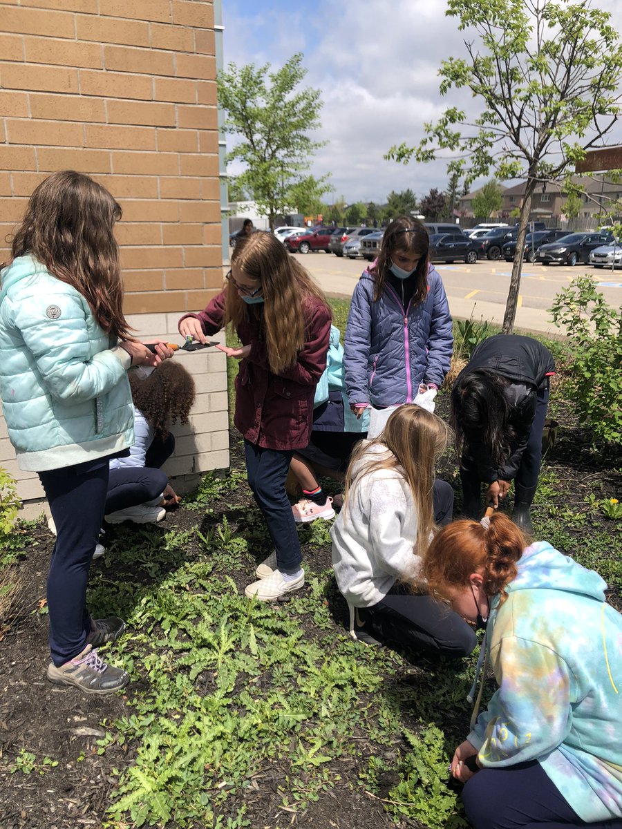 Green Team garden clean up! ❤️🌿 <a href="/stpetersmilton/">St. Peter C.E.S.</a>