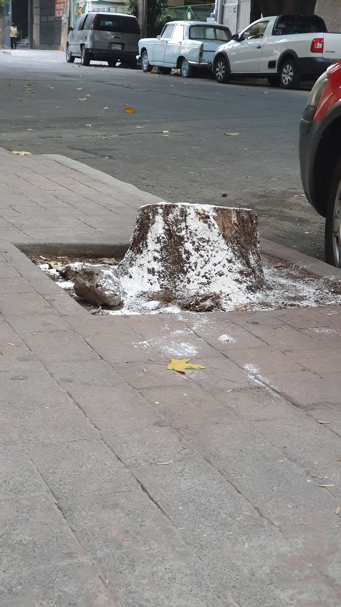 Así es vivir en la #Escandon ahora : grietas en las viviendas  por las mega obras inmobiliarias y tala de árboles indiscriminada .
Tenemos un Alcalde <a href="/mauriciotabe/">Mauricio Tabe Echartea</a> que prometió atender  ambos temas pero que quedo en eso: foto y tuit.
Pura corrupción aquí #AltoP42 #Peligro