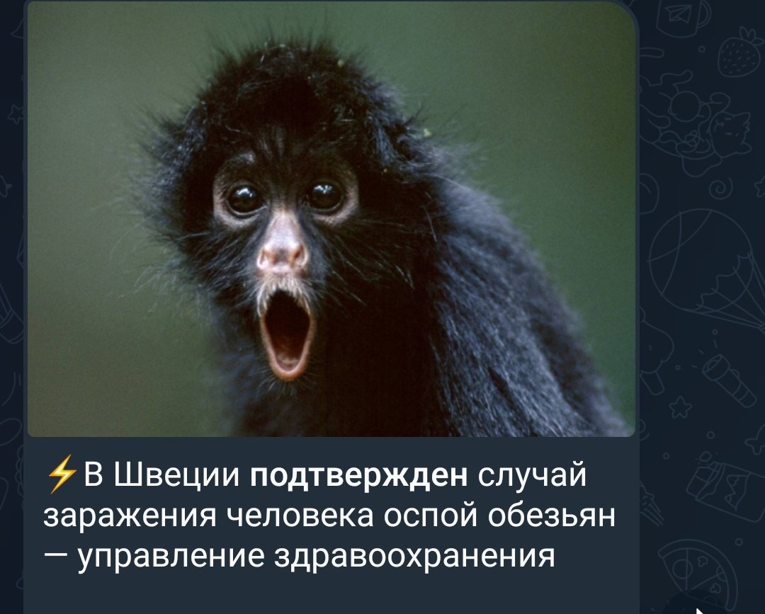 KukuruzaLeon's tweet photo. ВЫ ЧЕ https://t.co/5pTjuGUmMs