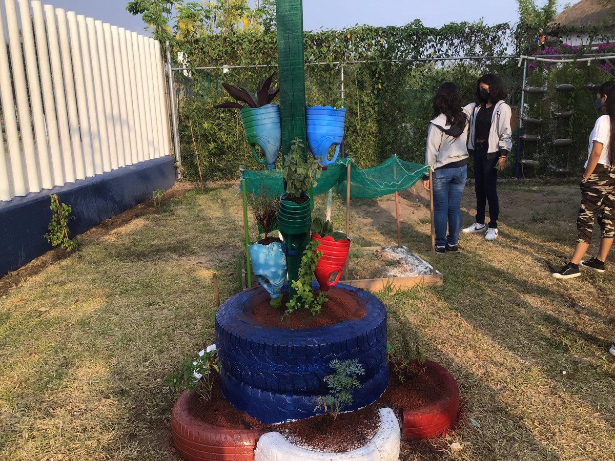 MrMacxonCSA's tweet photo. Trabajando en conjunto con secundaria y bachillerato, reactivando nuestro jardín de la salud y huerto, estamos avanzando, gracias por esa actitud positiva mostrada por los alumnos.
@AppleEDU @ColegioSnAngel_  #ADSinProcess #ColegioSnAngel #CSAPozaRica #Knotion https://t.co/qXehDN1vSX