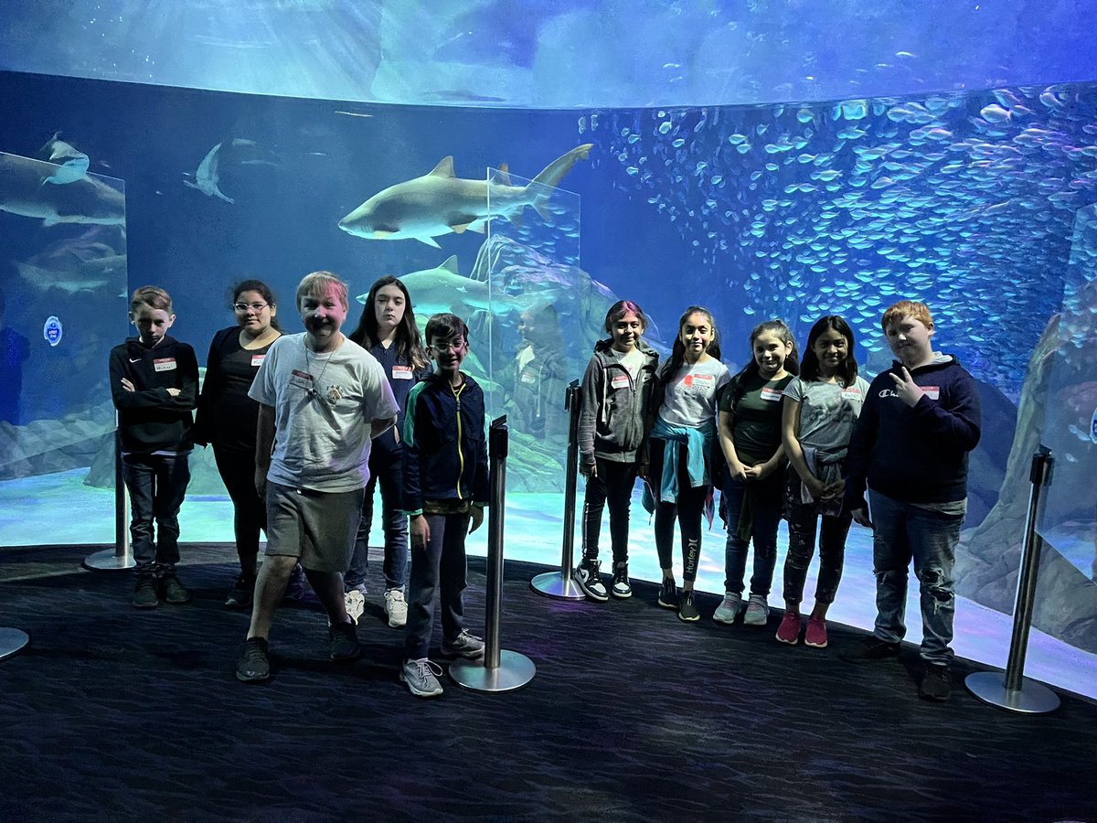Fantastic field trip at the <a href="/GeorgiaAquarium/">Georgia Aquarium</a> ! Love the new shark area.