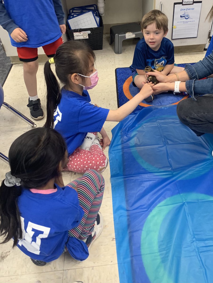 Mrs. Gale - Kindergarten tweet media