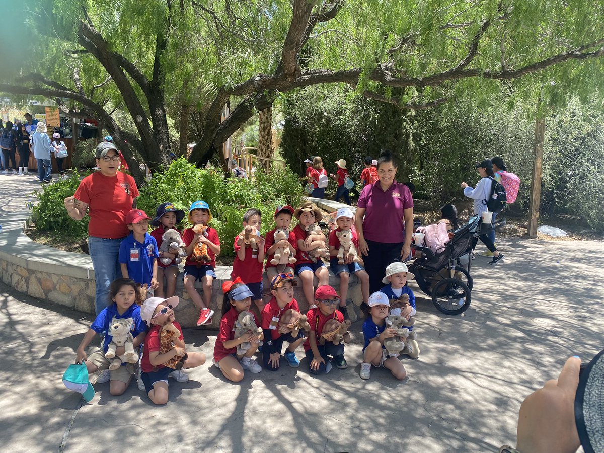 angelical7's tweet photo. Our field trip to the zoo was such a gratifying experience for our Burbujitas! Especially after receiving their stuffed animal 🧸 for promoting Zoo and animal preservation in the classroom. Thank you @elpasozoo @YsletaPreK @RLopezPK @MSuizette @TechyAcquaviva https://t.co/FA12LqrQc1