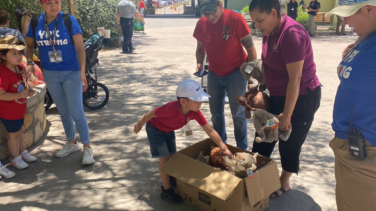angelical7's tweet photo. Our field trip to the zoo was such a gratifying experience for our Burbujitas! Especially after receiving their stuffed animal 🧸 for promoting Zoo and animal preservation in the classroom. Thank you @elpasozoo @YsletaPreK @RLopezPK @MSuizette @TechyAcquaviva https://t.co/FA12LqrQc1