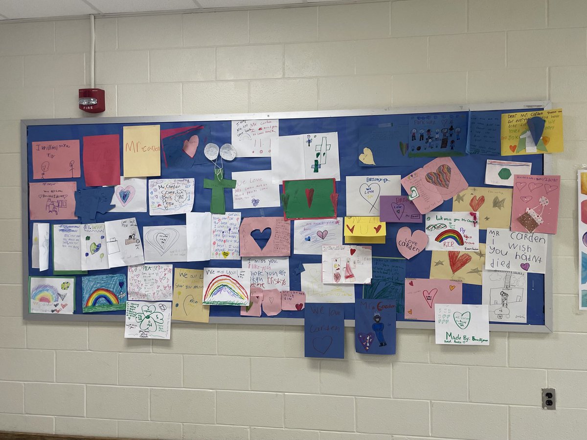 Katie Catania tweet media