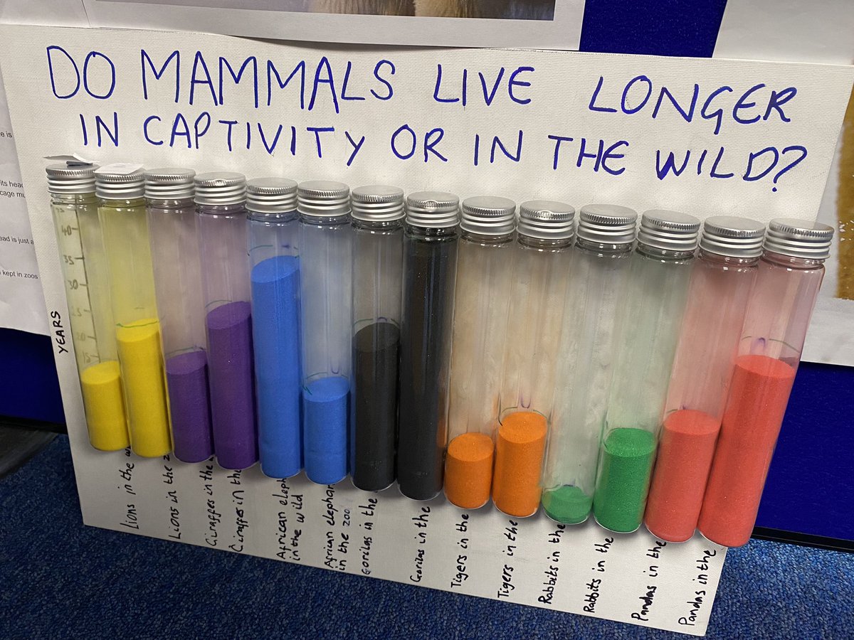 SrinandaGupta's tweet photo. PYP Exhibition - the culminating collaborative reflective process truly brought the whole wider community together today…we are really pleased to see our students ‘learning to learn’!! #pypx @DwightSchoolUK https://t.co/h4jlis8lHI