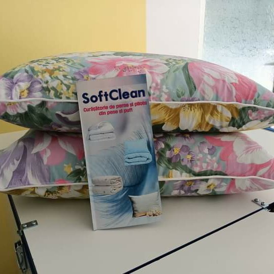 Softclean12's tweet photo. #FotografieDeProfilNouă https://t.co/Rocd17M0KY