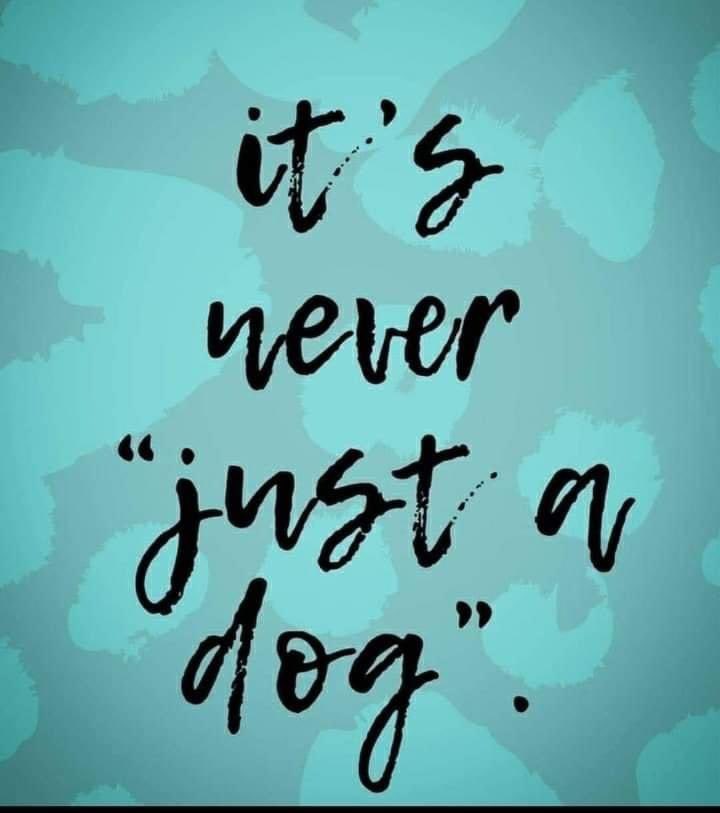 RussW0701's tweet image. Never!!!!