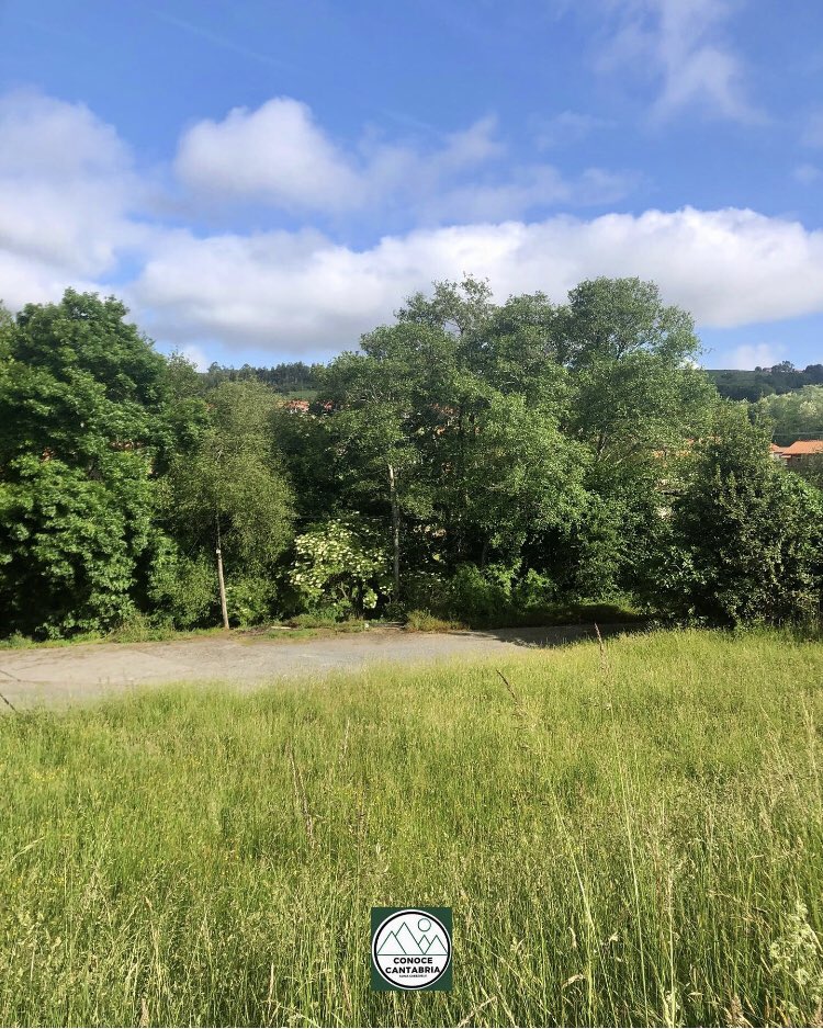 ConoceCantabri's tweet photo. Volvemos a esperar a nuestros clientes para hacerles disfrutar de nuestro #verde
#mejorconguíaoficial
Back to make our clients enjoy our #greenery.
#alwaysbetterwithofficialguides
#Cantabria #NorthernSpain #GreenSpain #AtlanticSpain https://t.co/J9XleTnJav