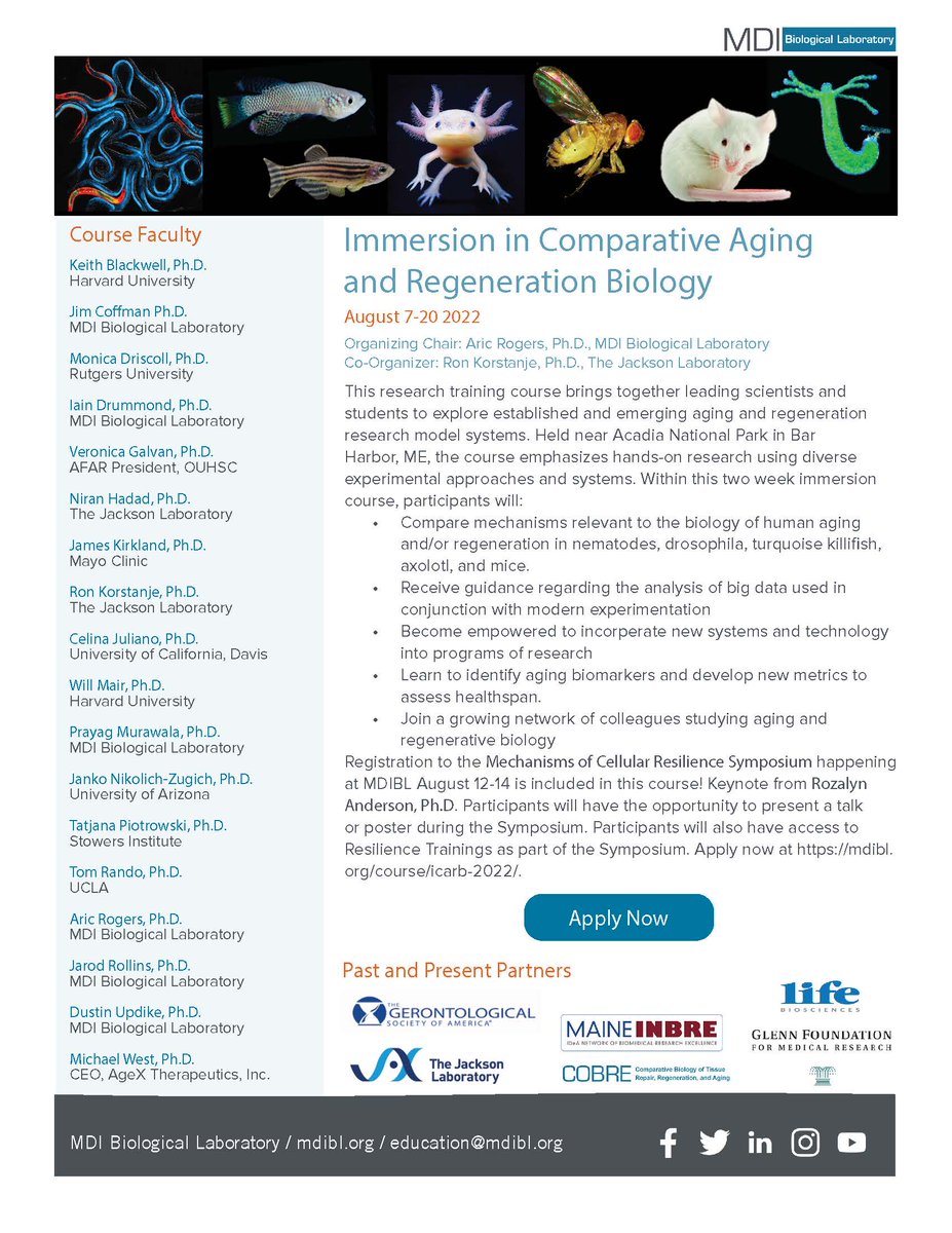 Training Opportunity in #AgingBiology: "iCARB: Immersion in Comparative Aging and Regenerative Biology 2022" to be held in Bar Harbor, ME from August 7-20. Application deadline: August 1. For more information and to apply: bit.ly/3PJnIyP.
