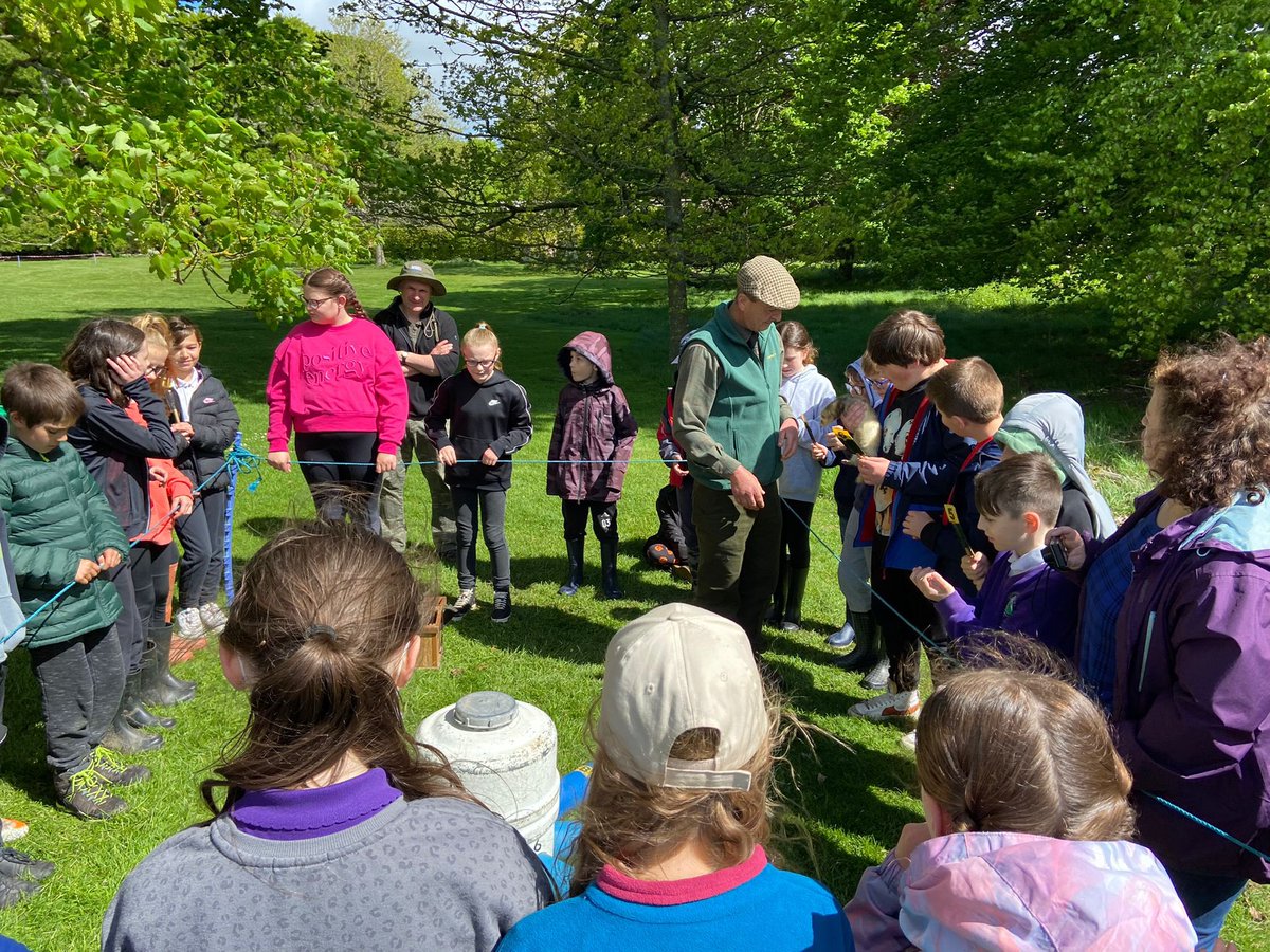 Langlands PS tweet media