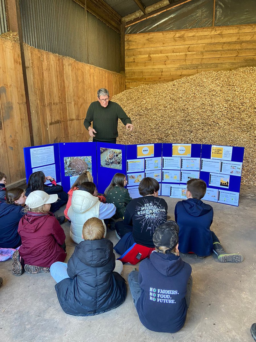 Langlands PS tweet media