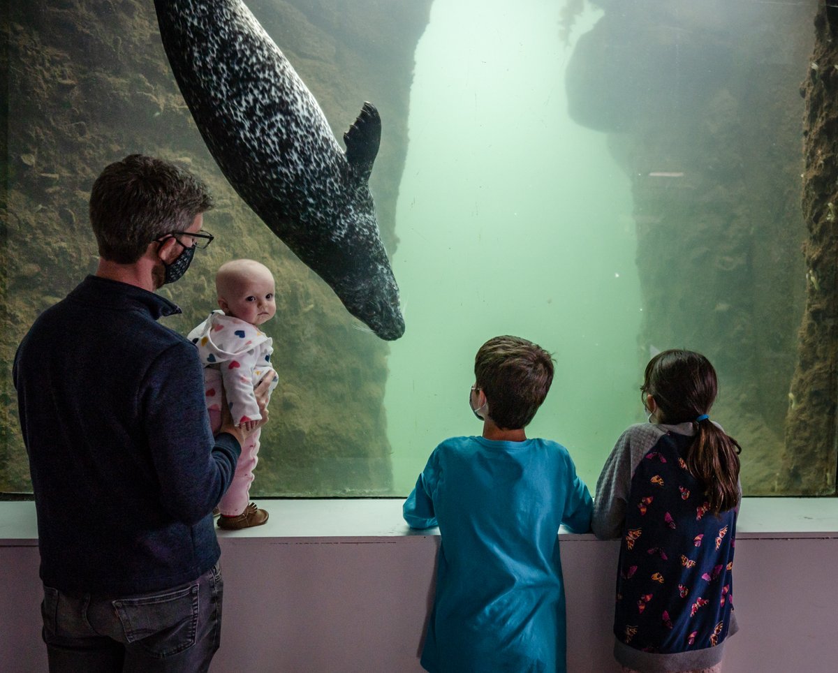 The #FundyDiscoveryAquarium OPENS Saturday! Join Salt Rose Yoga for a family yoga session at 10:15am and Scotty &amp; the Stars for a children's concert at 11:00am. 

Plan your visit today: huntsmanmarine.ca/fundydiscovery…

#SeasonOpening #Paddlefest2022 #HuntsmanMarine
<a href="/PaddlefestNB/">Paddlefest Music & Nature Festival</a>