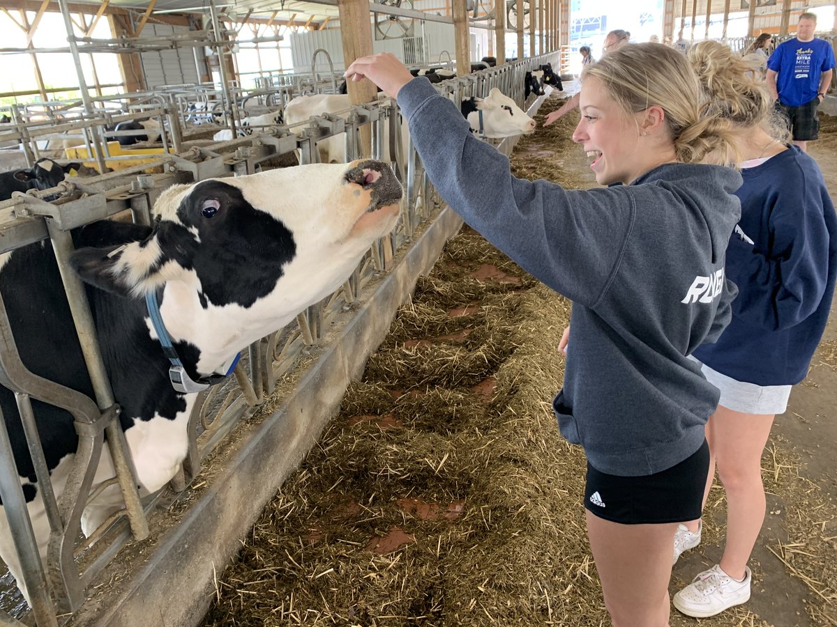 Indiana Area School District tweet media