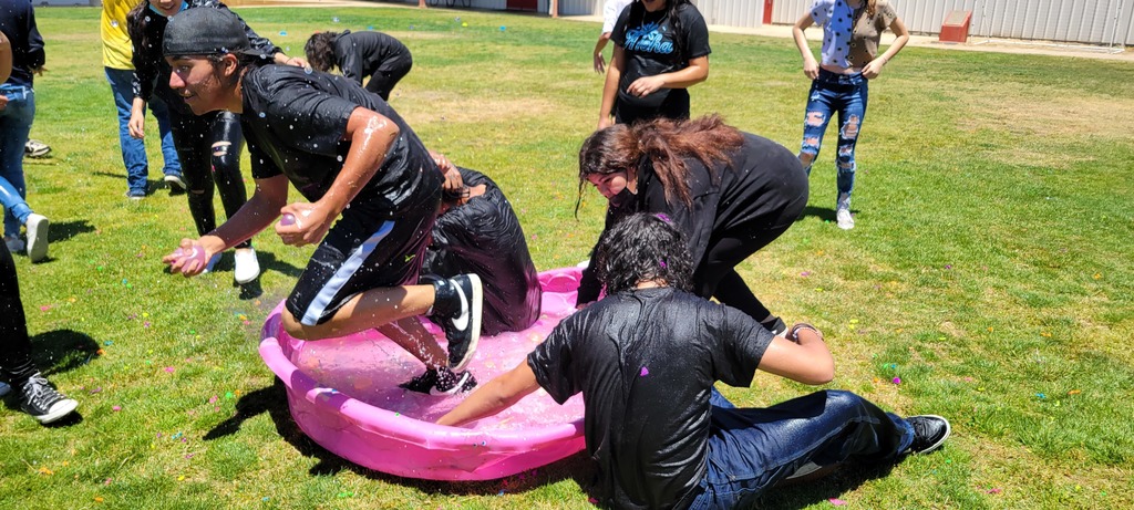 David MacLeod tweet media