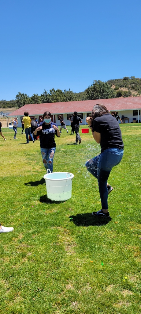 David MacLeod tweet media