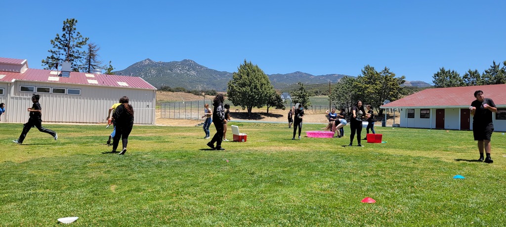 David MacLeod tweet media