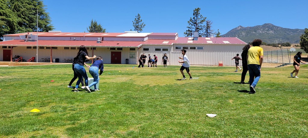 David MacLeod tweet media