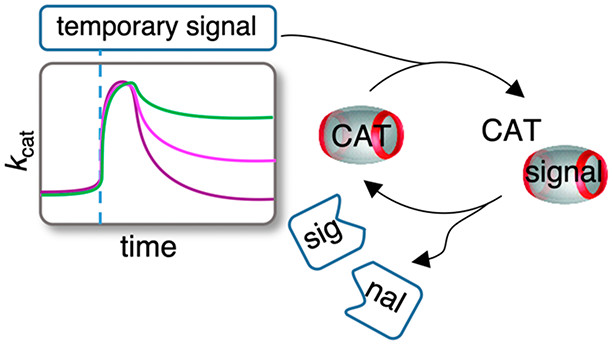 J_A_C_S's tweet photo. ✨Check out "Transient host-guest complexation to control catalytic activity" by @michellevdh11, @A1_chemist, Muhamad Hartono, @EelkemaLab #reactionnetwork #cucurbituril #organocatalysis @ChemeTUDelft
https://t.co/pKF0OnB2av https://t.co/ZTIiezbDlW