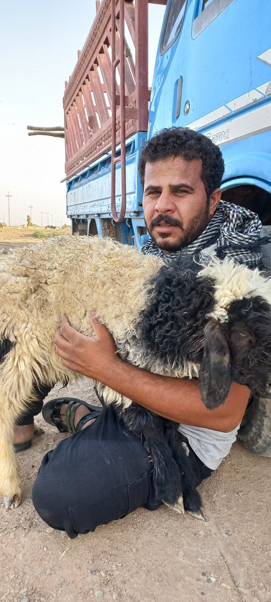 dhydraljabry11's tweet photo. افاد مصدر طبي،  الأربعاء، بتسجيل إصابتين جديدتين بالحمى النزفية في محافظة الديوانية.

وقال المصدر في حديث لـ(بغداد اليوم)، ان "الكوادر الصحية شخصت إصابتين جديدتين ب #الحمى_النزفية بإحدى القرى بمحافظة الديوانية".
#التويتر_بيطري #التويتر_البيطري https://t.co/naSIeR7X8g https://t.co/ajCV4XTNCr