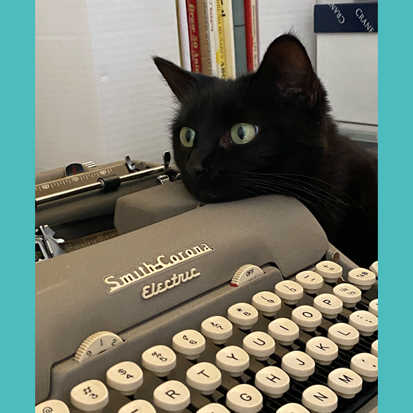 SFCenterfortheBook tweet media