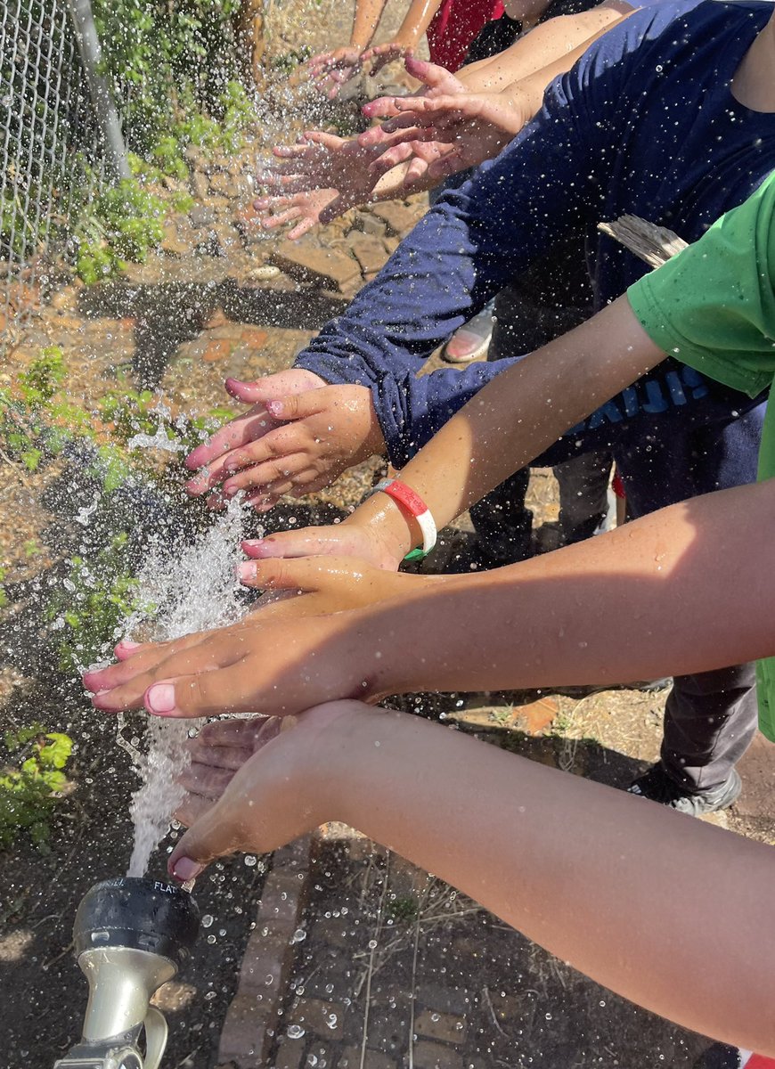 Shannon Ryan tweet media