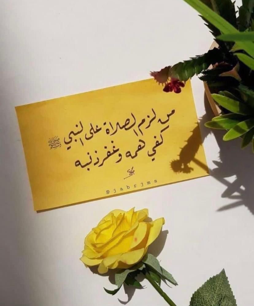 العَنــود (@__alanoud__otb) on Twitter photo 