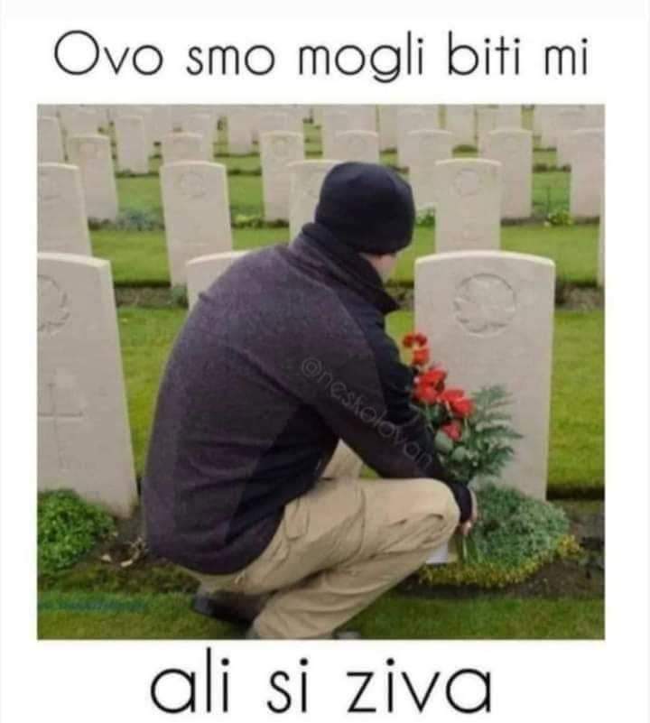 Mirko Topalovic official (@mirkotopalovic7) on Twitter photo 