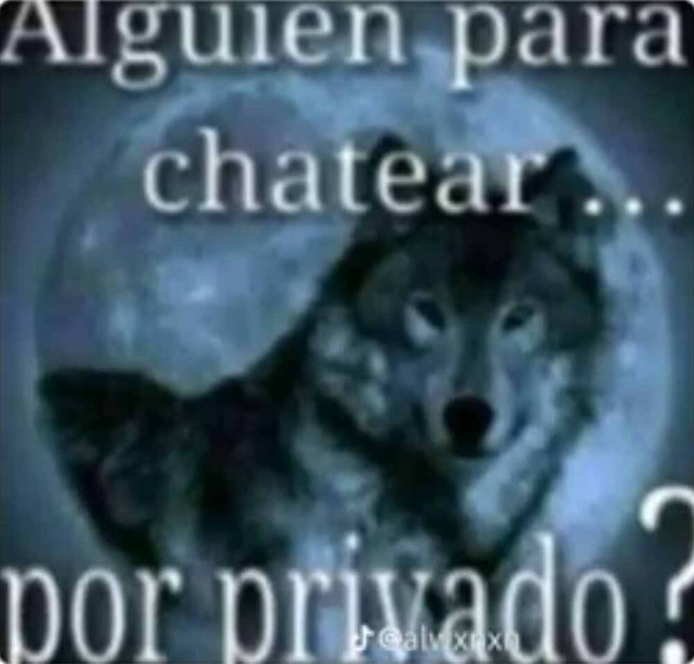 Enjolf0's tweet photo. @JaviDMr10 Alguien para chatear... por privado? https://t.co/GiwMLh3Haq