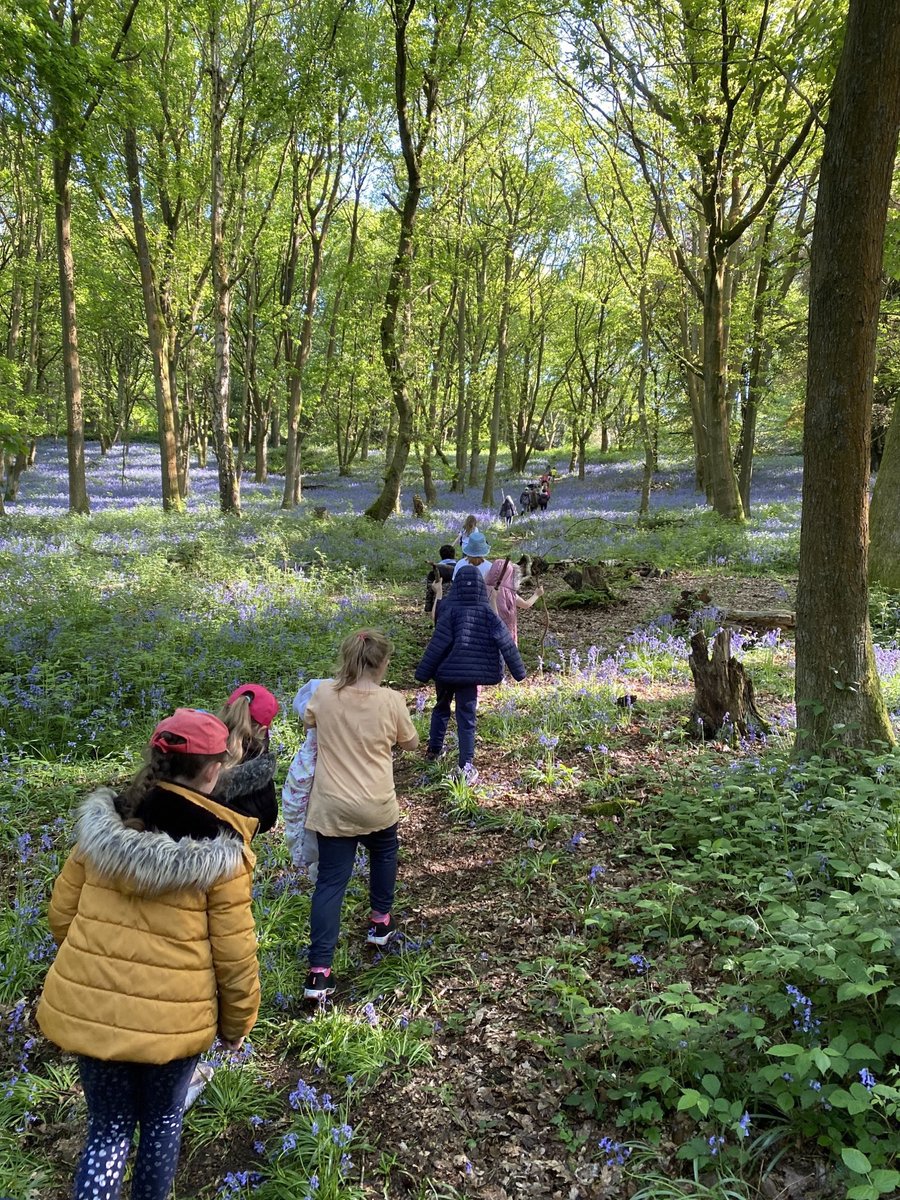 SchoolMillfield's tweet photo. Year 3 enjoyed a 2-night camp earlier this week. It consisted of setting up tents, walks in the bluebells, listening to stories in the amphitheatre and creating stick sculptures 😀⛺️🏕📚 https://t.co/0mKncFH3xw