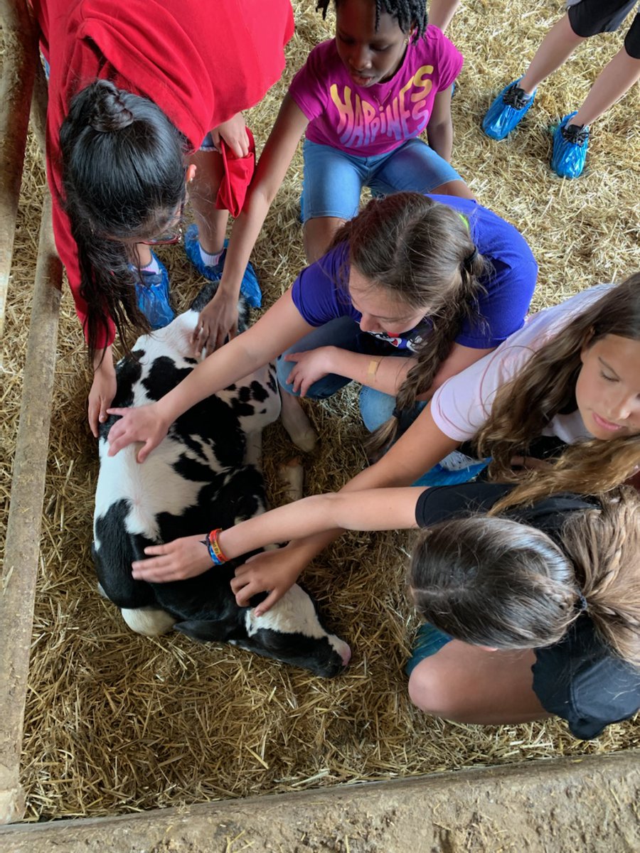 BBHMS Bees tweet media