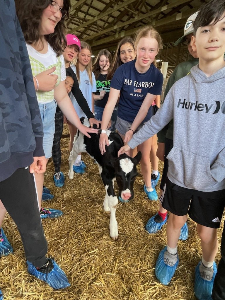 BBHMS Bees tweet media