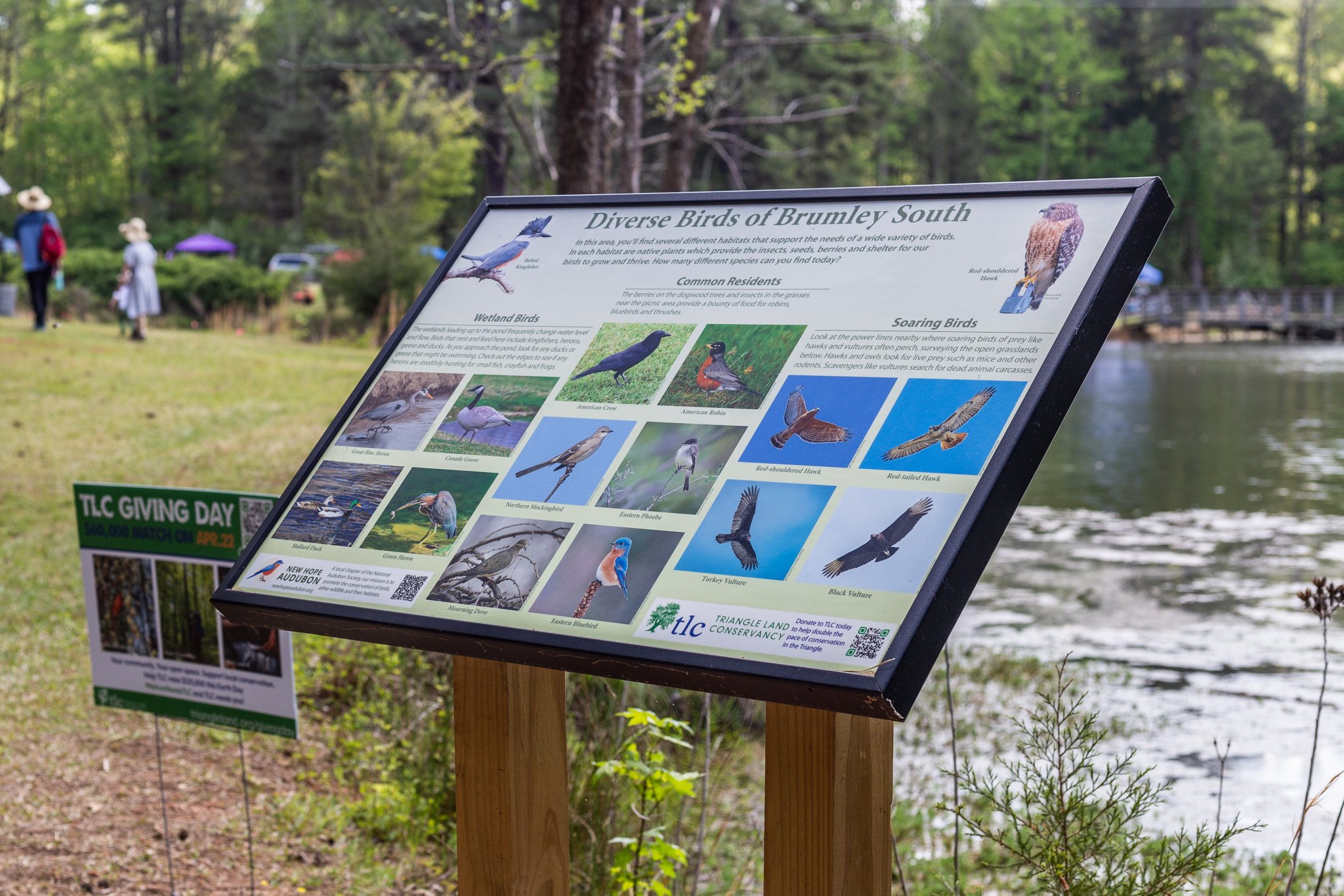 Triangle Land Conservancy on Twitter "Migratory birds love Brumley