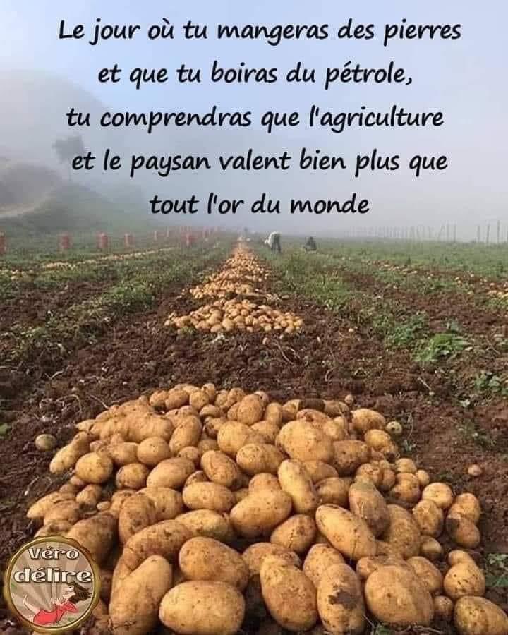 MaryMbois's tweet photo. C’est ben vrai ça ! 👏👏👏 https://t.co/OgKHGb792p