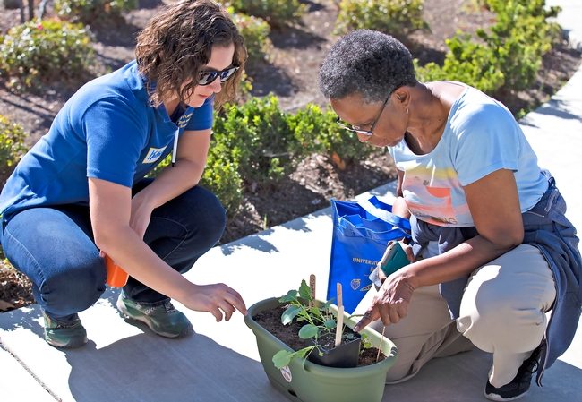 two women looking over plants