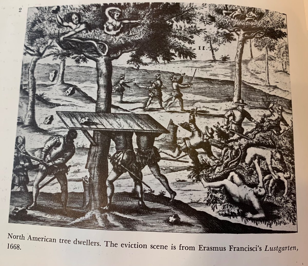 noapophasis's tweet photo. from 1668 to today, sexy girls throwing rocks at the police from their perches in the trees is a tried and true tactic against enclosure @defendATLforest https://t.co/iO6LdpY1uB