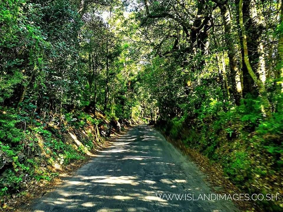 ST HELENA NEWS & TRAVEL tweet media