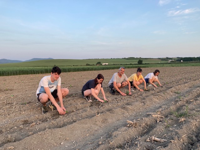 BrunoCorbara's tweet photo. Les premiers légumes pour et avec @LieUtopie  repiqués sur la Ferme de Sarliève @FSarlieve (bon là on pose... on avait terminé )
 @FrancoisRAGE
 @GregoryBernard
 @olivierbianchi1 https://t.co/WYNrpP0TK2