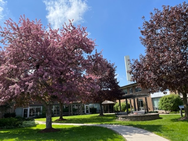 The <a href="/SJULibrary/">St. Jerome's University Library</a> will be closed Saturday, Sunday, and Monday for the Victoria Day weekend!  We will reopen Tuesday, May 24th at 9am.  Have a wonderful long weekend! <a href="/StJeromesUni/">St.Jerome's University</a>