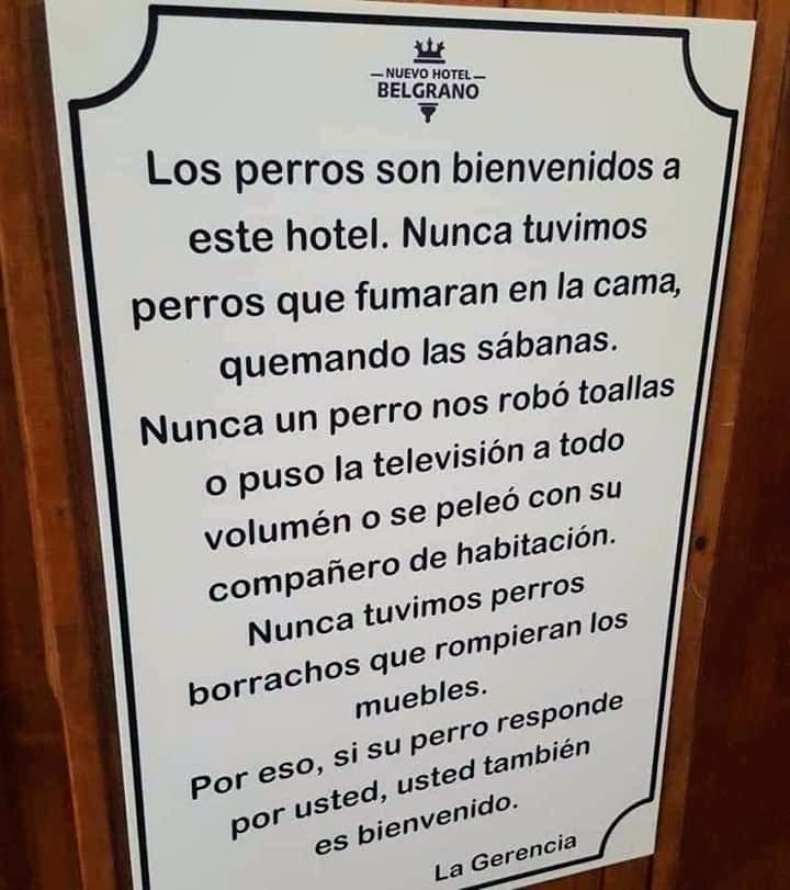 Perrosenlacalle's tweet photo. Wow esto debería replicarse en muchos hoteles y negocios en general 😍 https://t.co/cWpdB2zr4Y