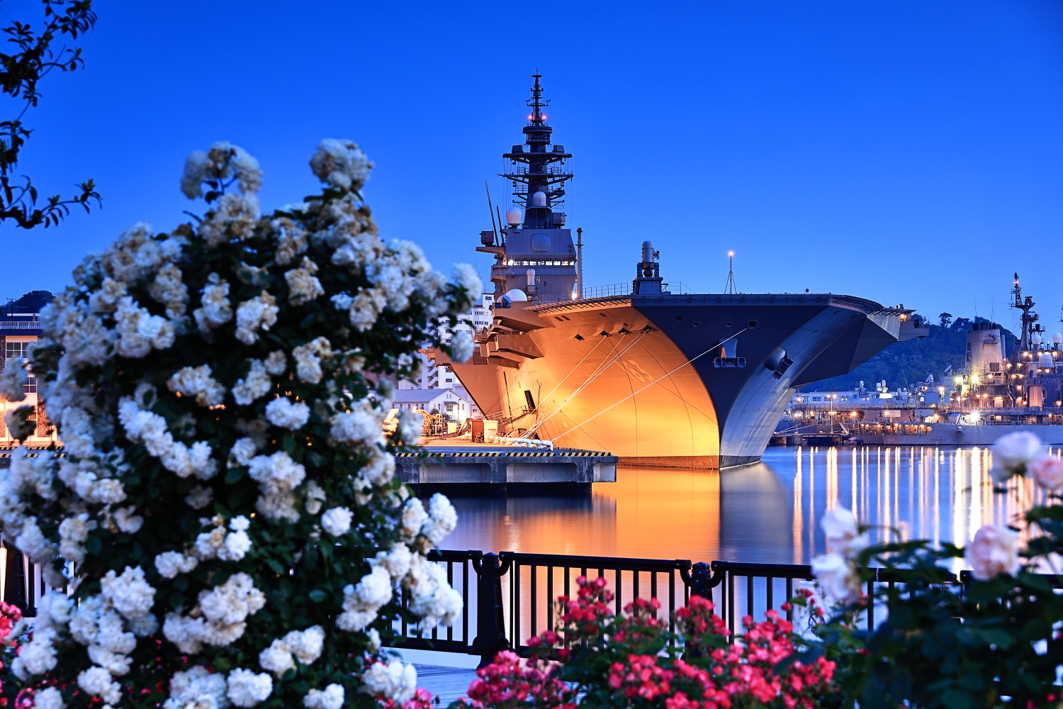 Yokoyama 写真撮る人 今朝夜明け前のヴェルニー公園にて 横須賀市 ヴェルニー公園 T Co 4ukt8o2kzi Twitter