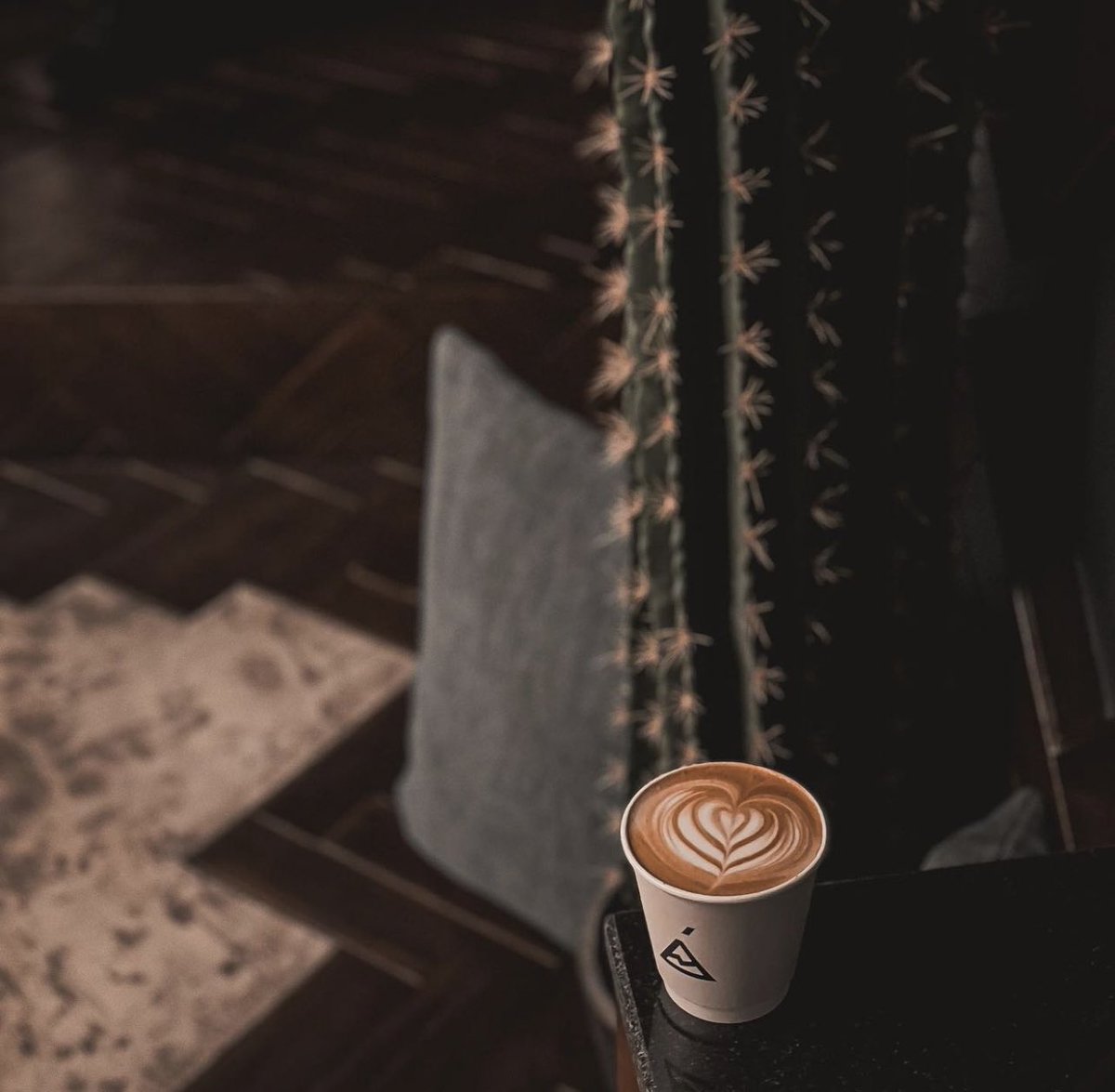 القهّوة هي السَلام بيني وبين الحَياة.