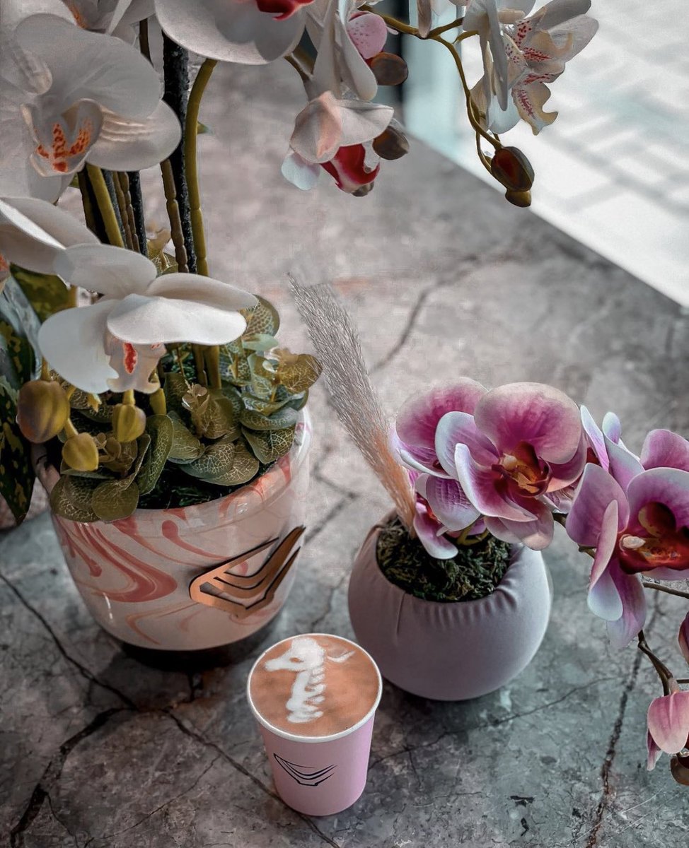 وفي القهوةِ حُبٌ وسَلام.