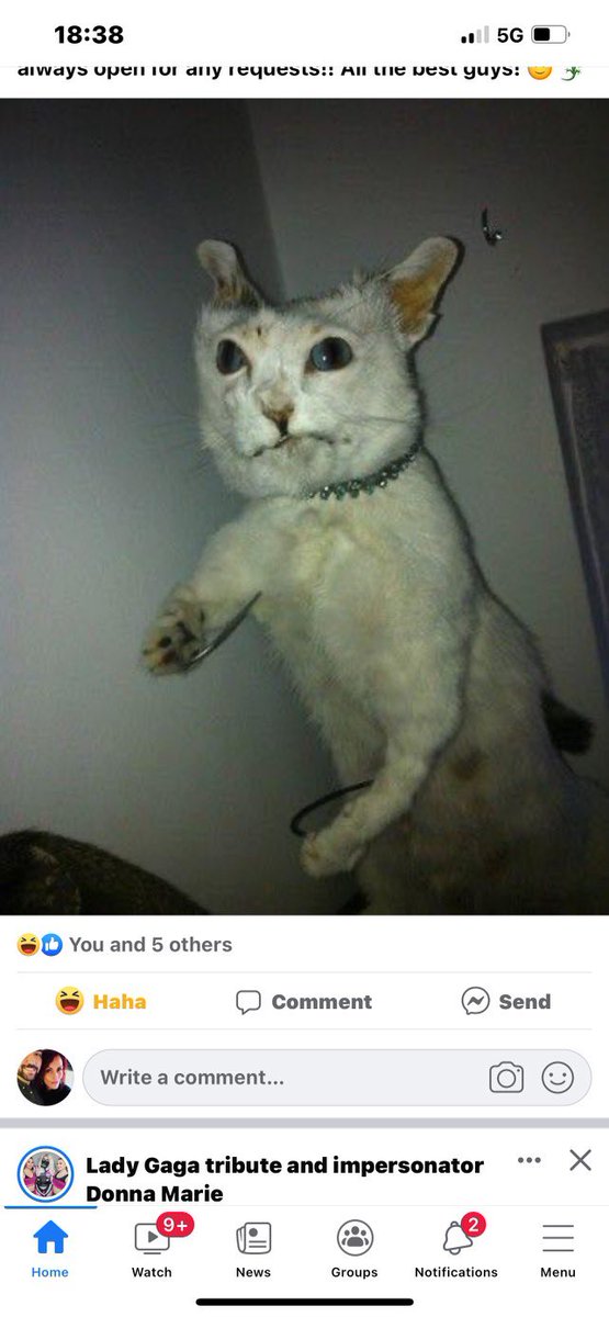 I’m back. And I’m sorry. Let’s play dream phone