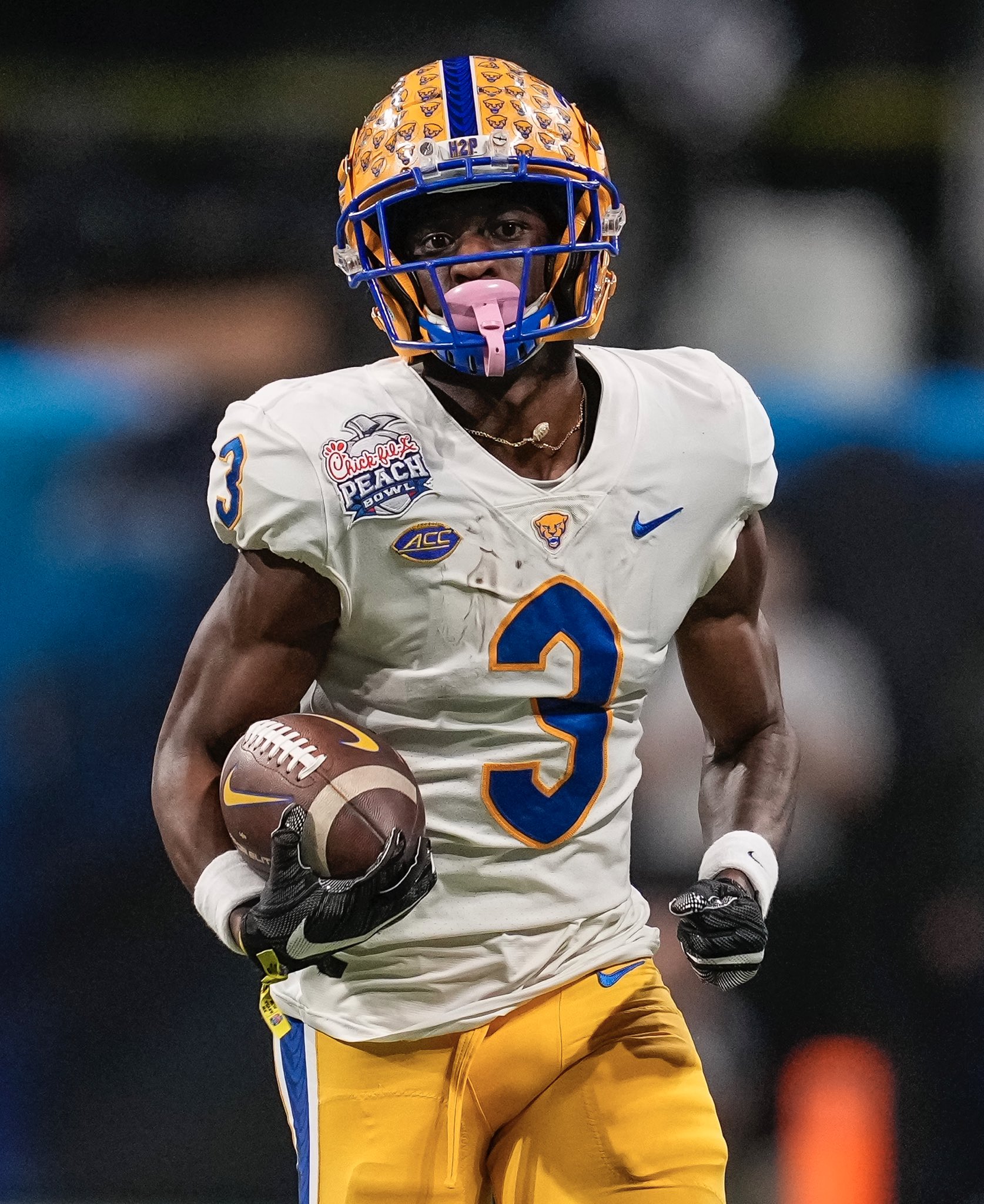 Pff Wr Corps Rankingsport Huron Craigslist Pets - hv68vz2
