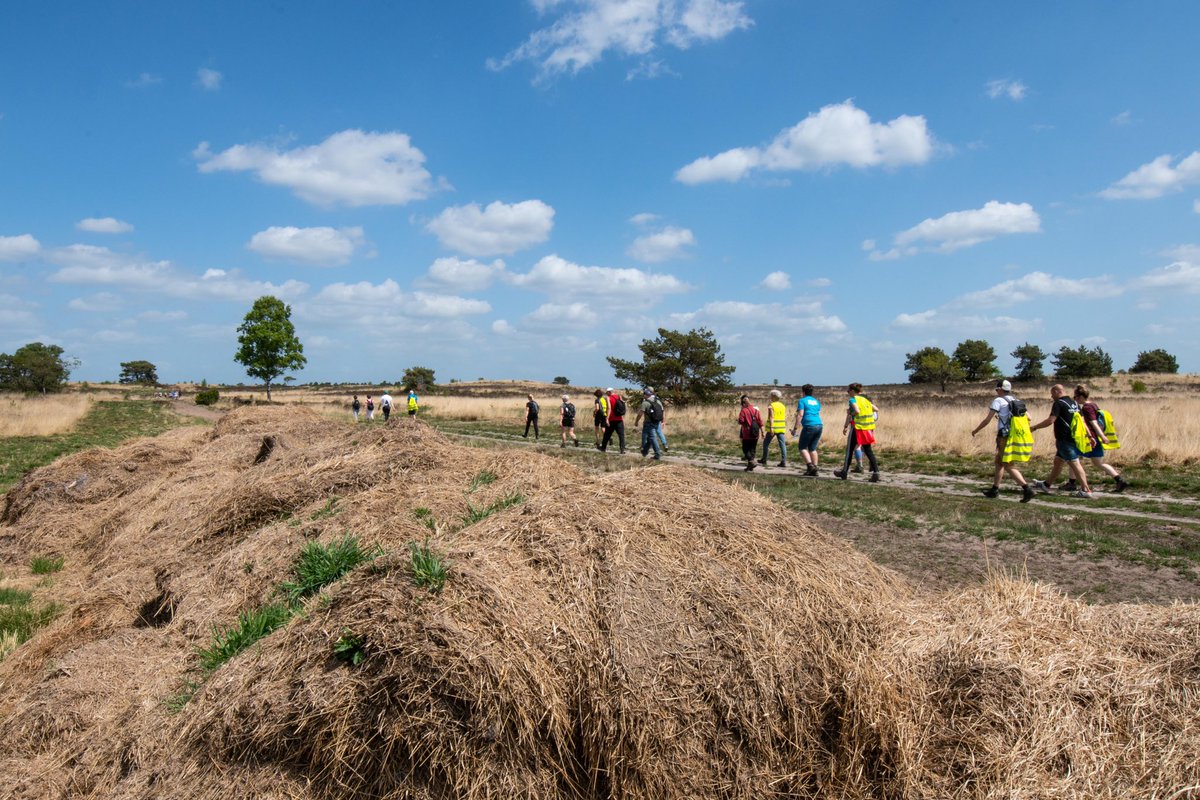 b2gveluwe's tweet photo. Vanaf februari zijn we in training voor het Rondje Ameland op 11 juni. Door het bos, over de hei en de zandverstuiving. Deze foto’s en dit filmpje maken wel duidelijk dat we er klaar voor zijn! https://t.co/N9oAJVBJnB
#inclusiefsporten #inclusie https://t.co/RxyRG138yr